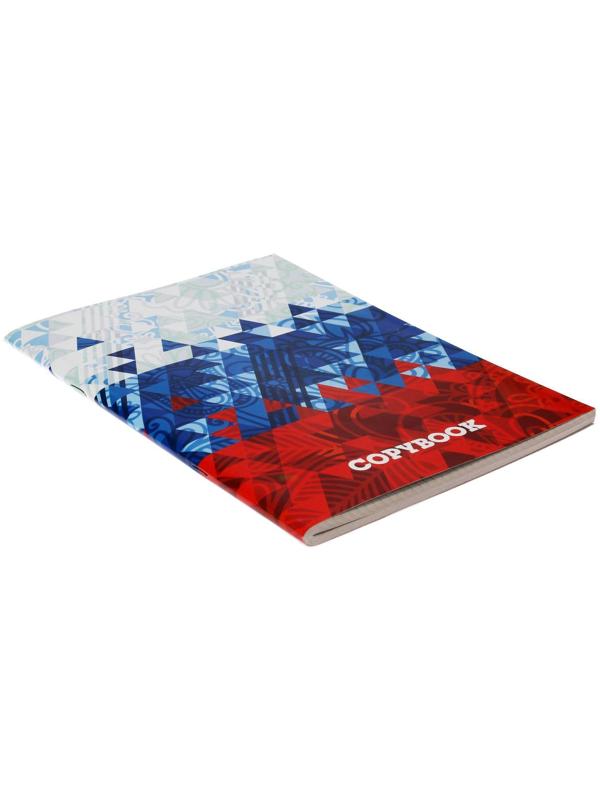 Тетрадь А4, 96 листов в клетку Calligrata 