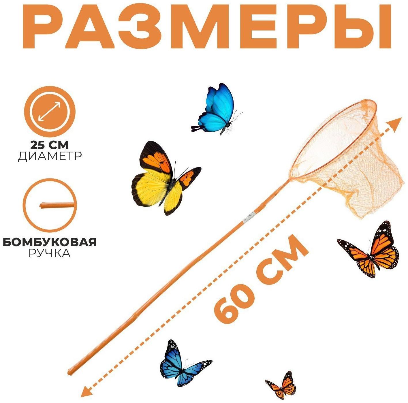 Сачок детский, бамбуковая ручка в горох 60 см, d=25 см, цвета МИКС