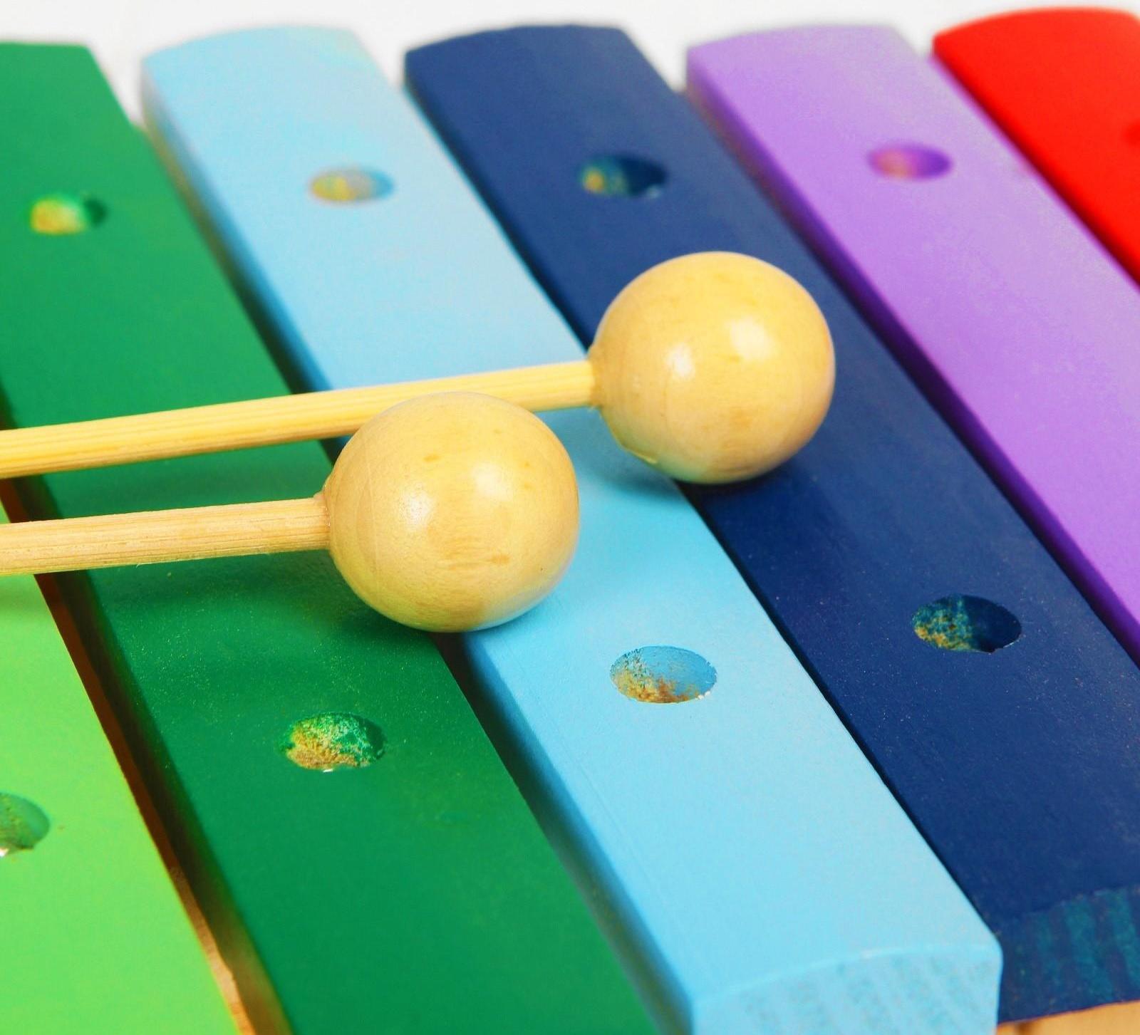 Музыкальная игрушка «Ксилофон», 12 тонов + 2 палочки