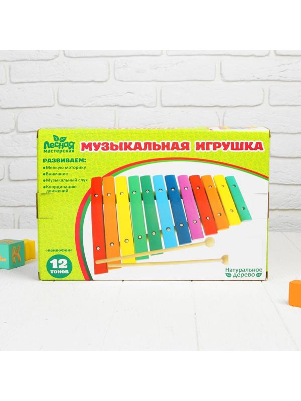 Музыкальная игрушка «Ксилофон», 12 тонов + 2 палочки