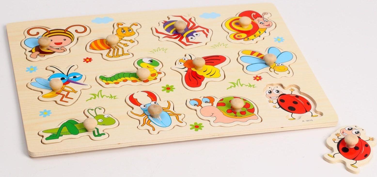 Рамка-вкладыш «Насекомые»