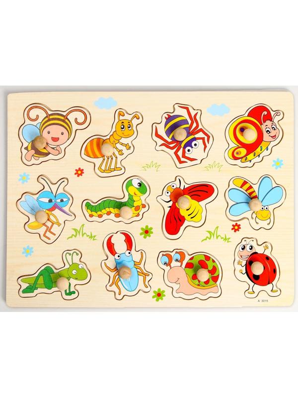 Рамка-вкладыш «Насекомые»