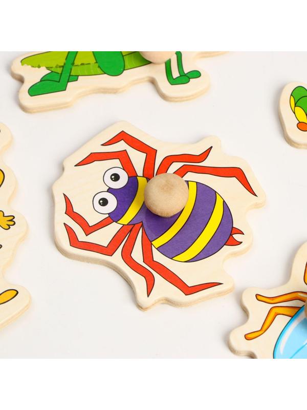 Рамка-вкладыш «Насекомые»