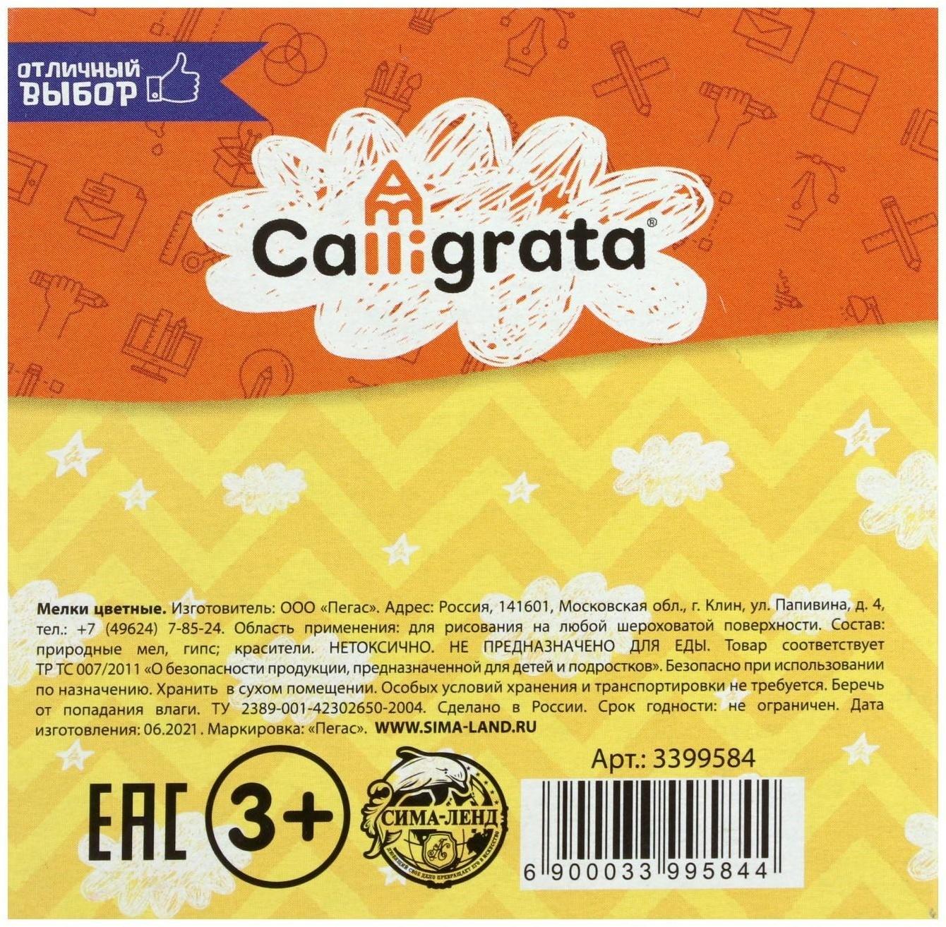 Мелки цветные для асфальта 5 штук Calligrata, квадратные