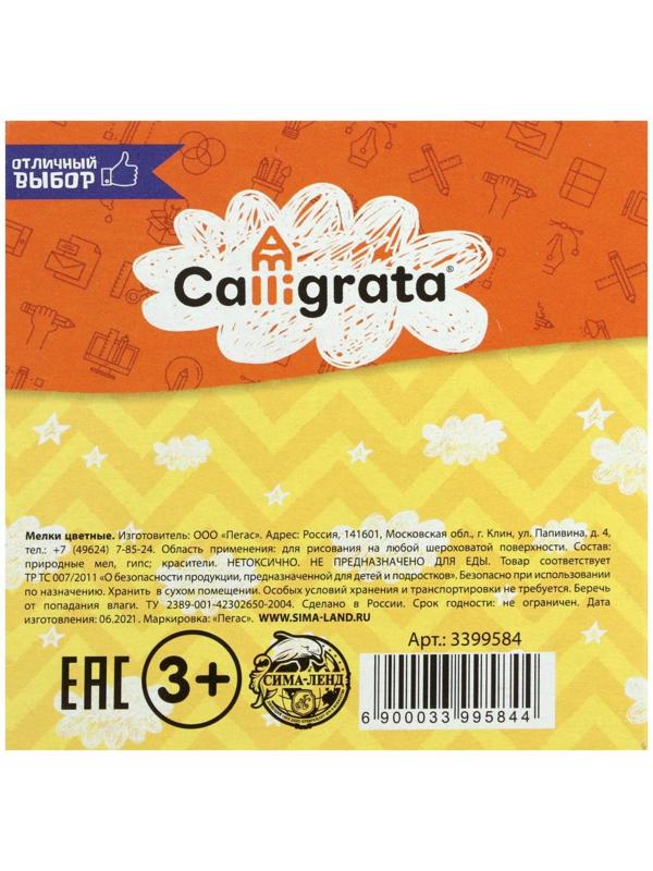 Мелки цветные для асфальта 5 штук Calligrata, квадратные