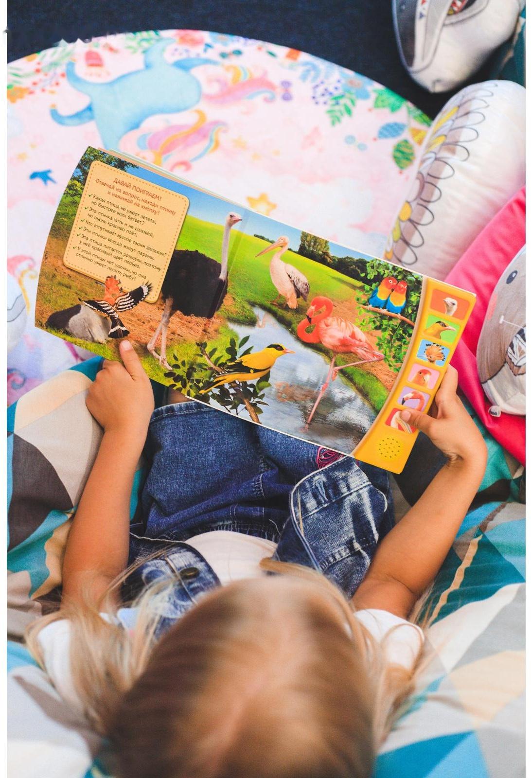 Музыкальная книга «Экзотические птицы», 12 стр.