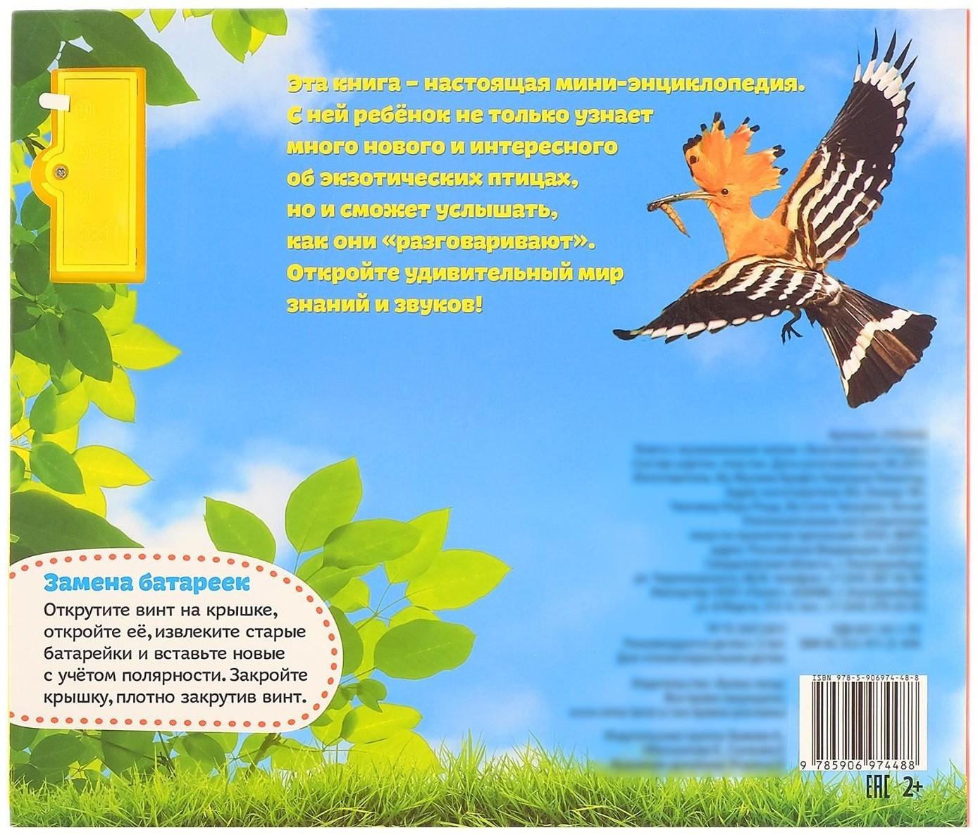 Музыкальная книга «Экзотические птицы», 12 стр.