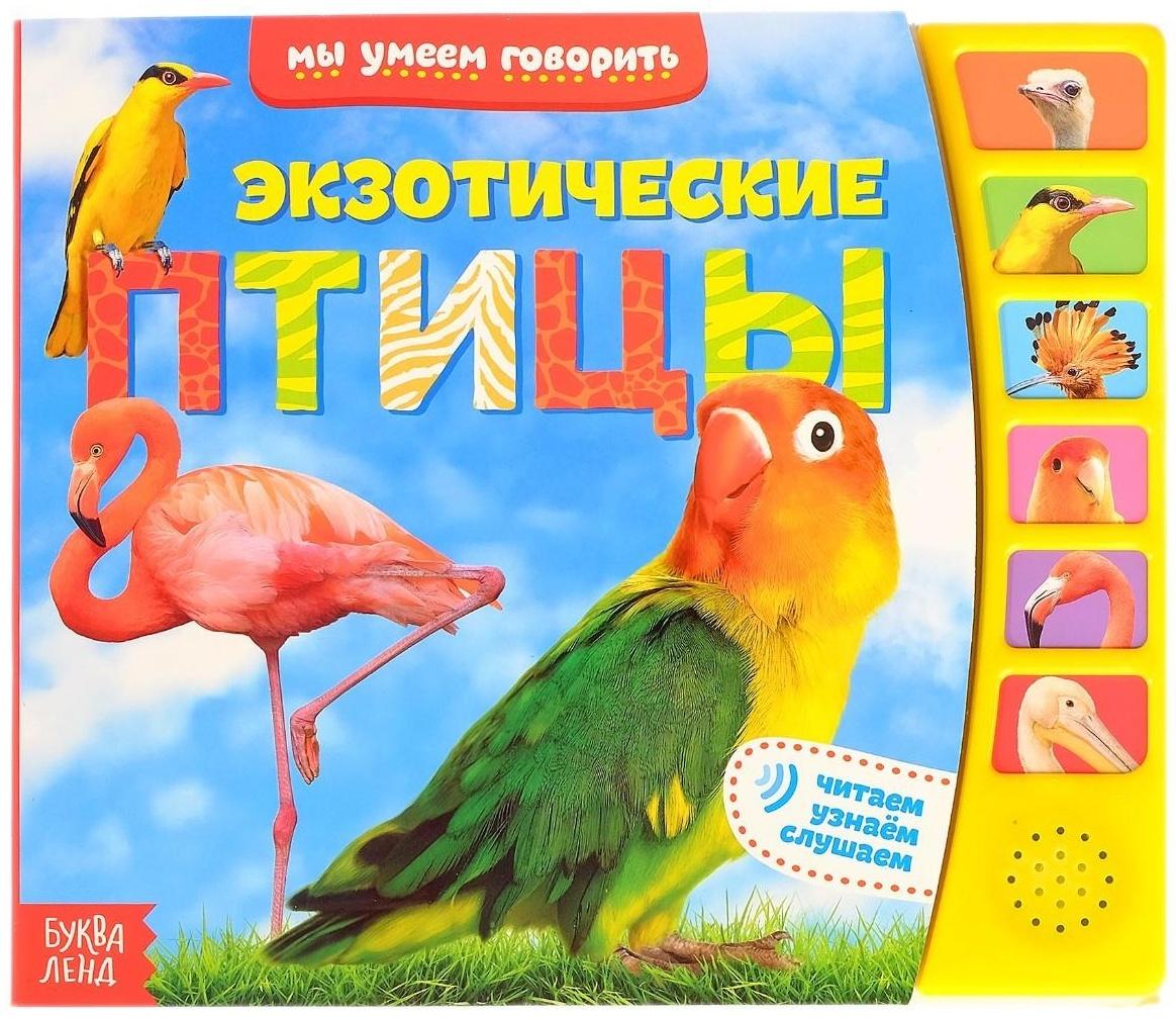 Музыкальная книга «Экзотические птицы», 12 стр.