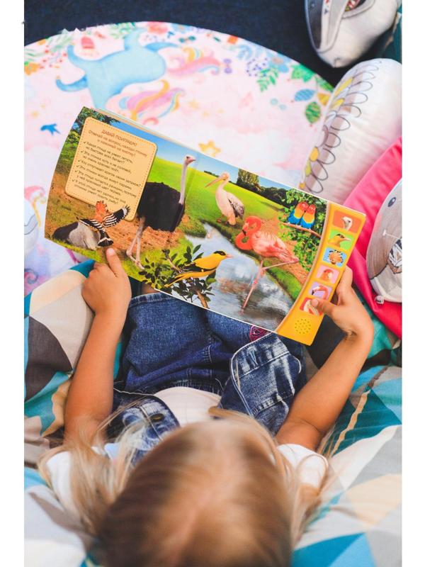 Музыкальная книга «Экзотические птицы», 12 стр.