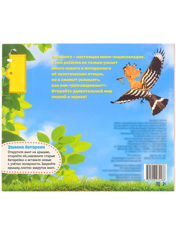 Музыкальная книга «Экзотические птицы», 12 стр.