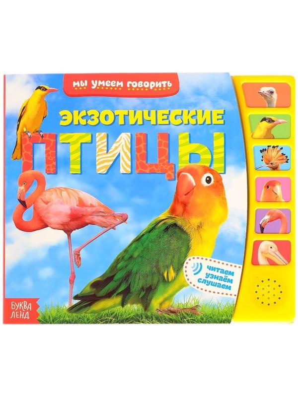 Музыкальная книга «Экзотические птицы», 12 стр.