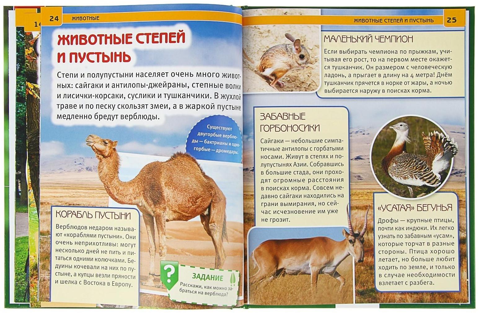 Энциклопедия с развивающими заданиями «Животные»