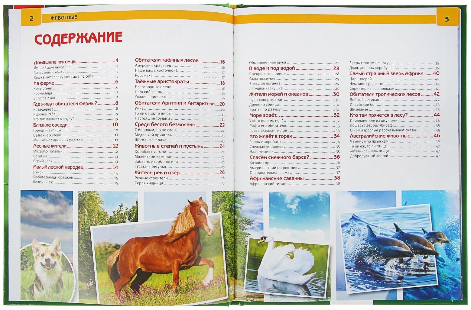Энциклопедия с развивающими заданиями «Животные»