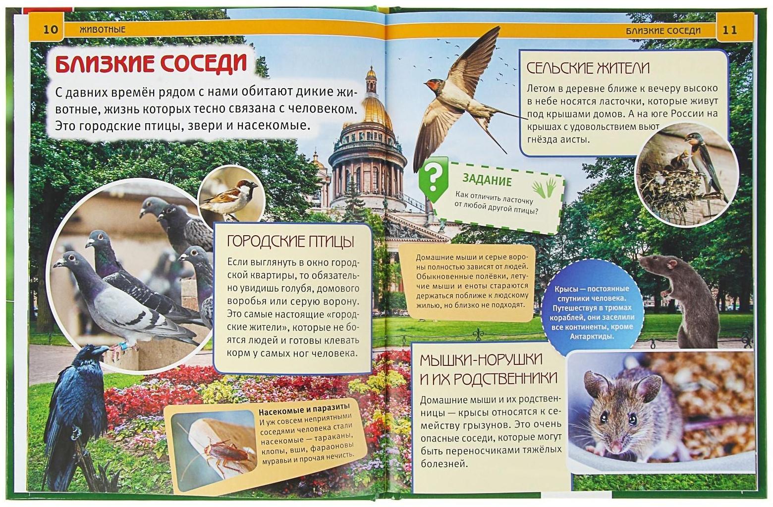 Энциклопедия с развивающими заданиями «Животные»