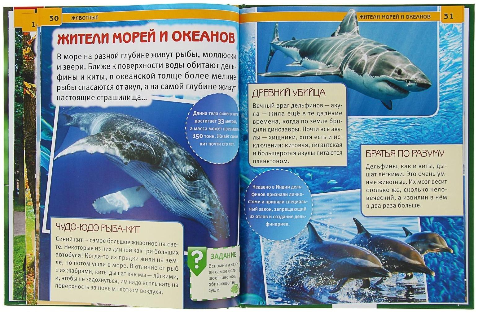 Энциклопедия с развивающими заданиями «Животные»