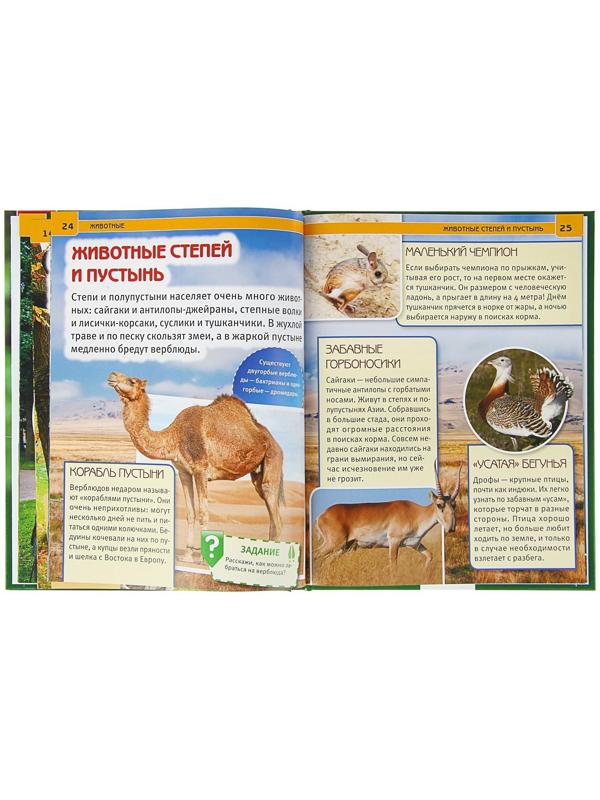Энциклопедия с развивающими заданиями «Животные»