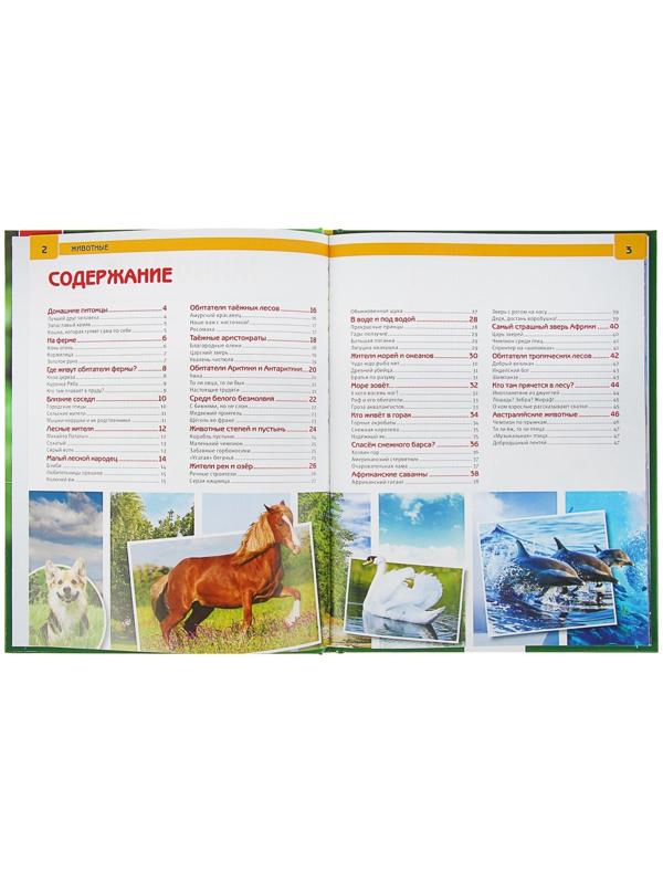 Энциклопедия с развивающими заданиями «Животные»