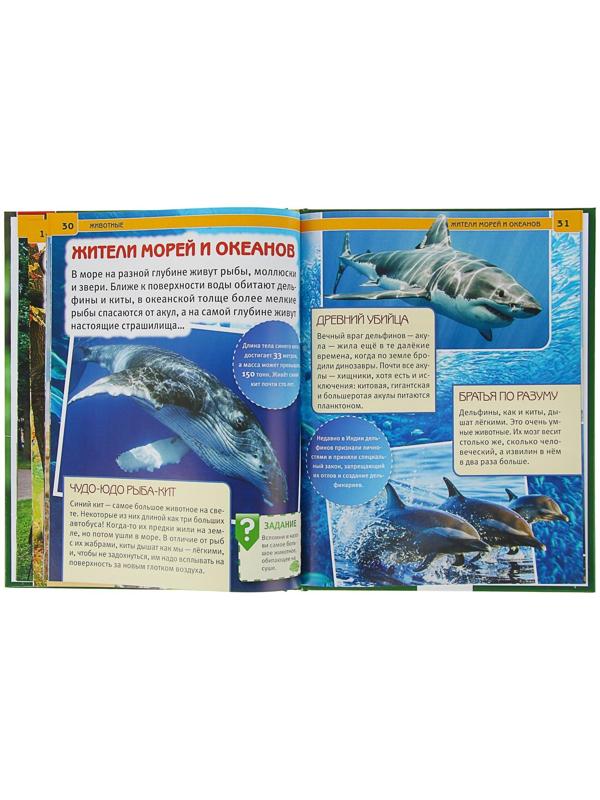 Энциклопедия с развивающими заданиями «Животные»