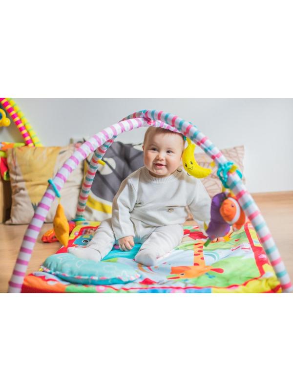 Развивающий коврик с дугами «Слоник и друзья», 5 элем. с музыкой
