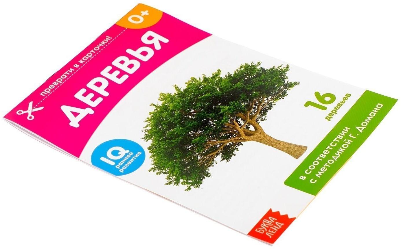 Обучающие карточки Г. Домана «Деревья», на скрепке, 20 стр.