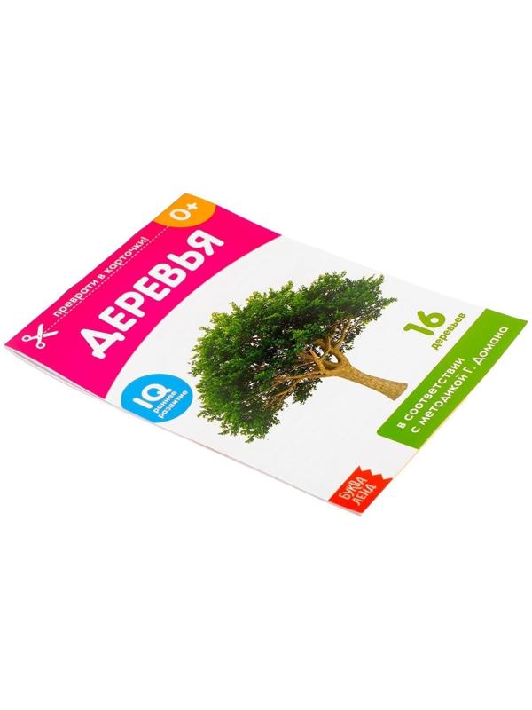 Обучающие карточки Г. Домана «Деревья», на скрепке, 20 стр.