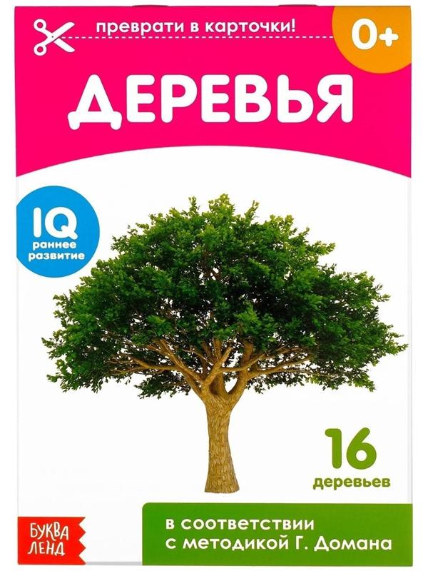 Обучающие карточки Г. Домана «Деревья», на скрепке, 20 стр.