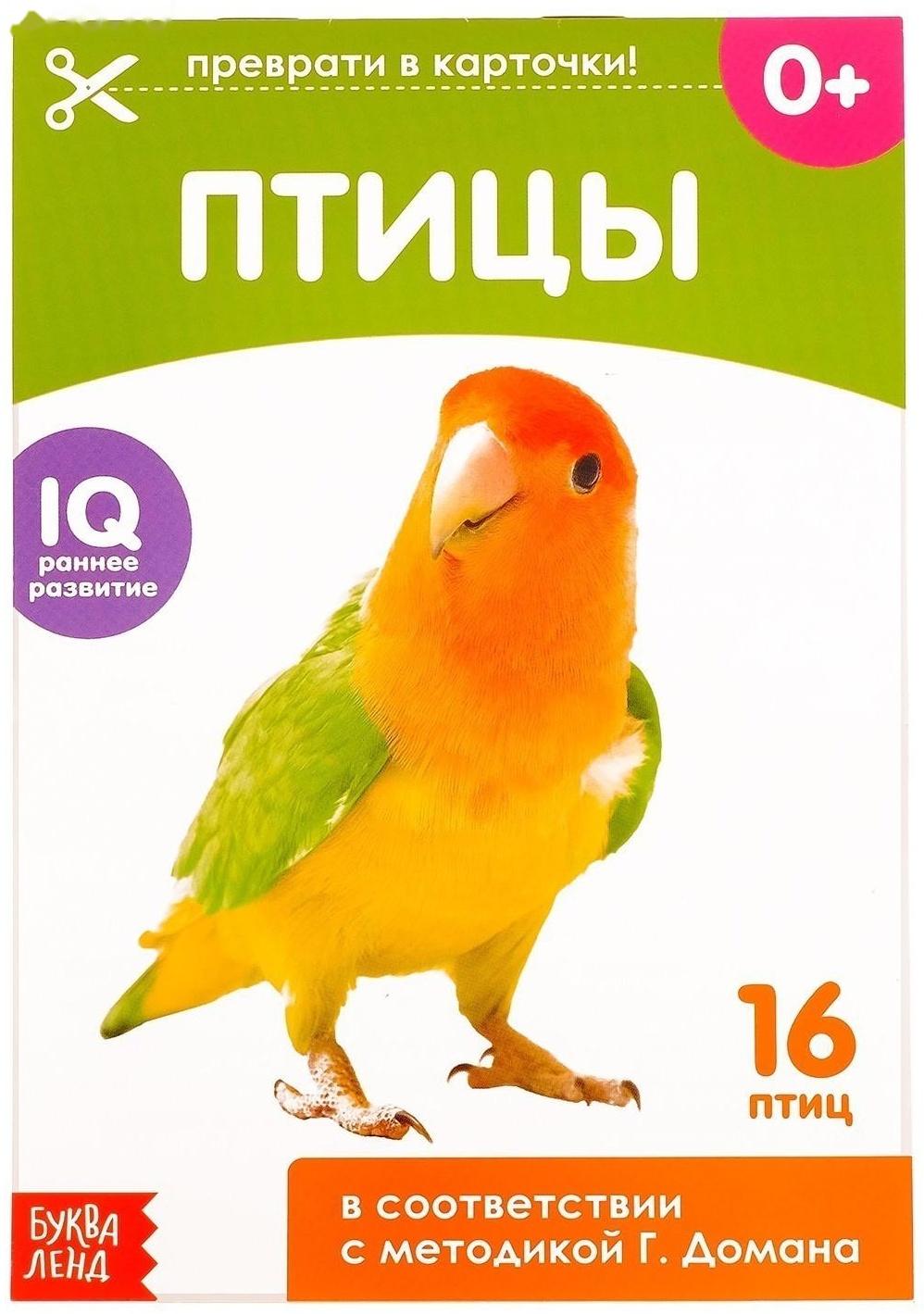 Обучающие карточки Г. Домана «Птицы», на скрепке, 20 стр.