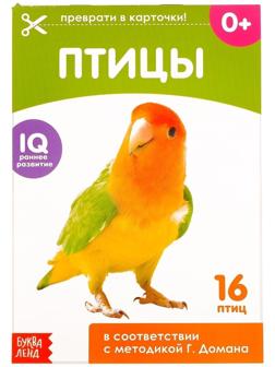 Обучающие карточки Г. Домана «Птицы», на скрепке, 20 стр.