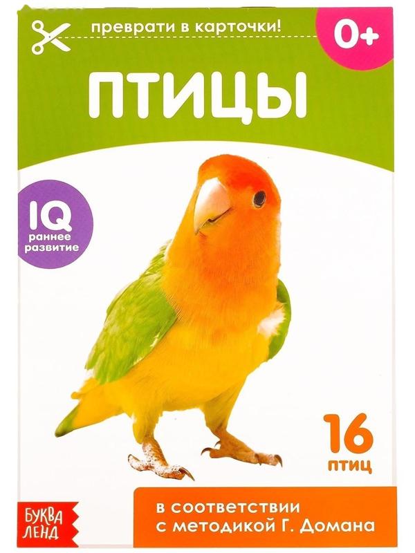 Обучающие карточки Г. Домана «Птицы», на скрепке, 20 стр.