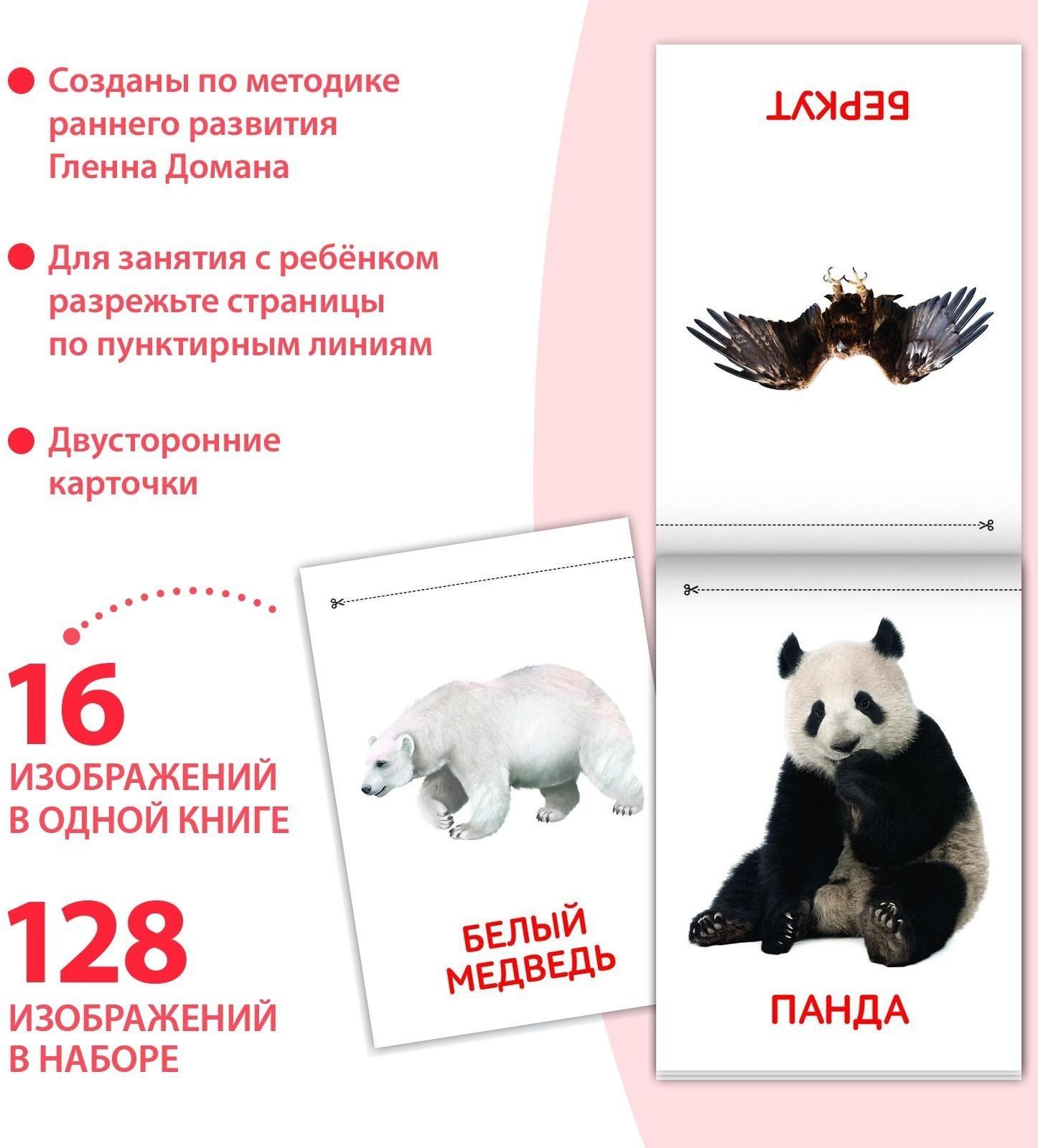 Книги «Карточки Домана. Узнаём мир», набор, 8 шт. по 20 стр.