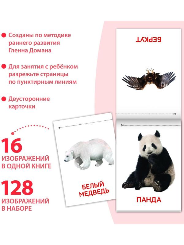Книги «Карточки Домана. Узнаём мир», набор, 8 шт. по 20 стр.