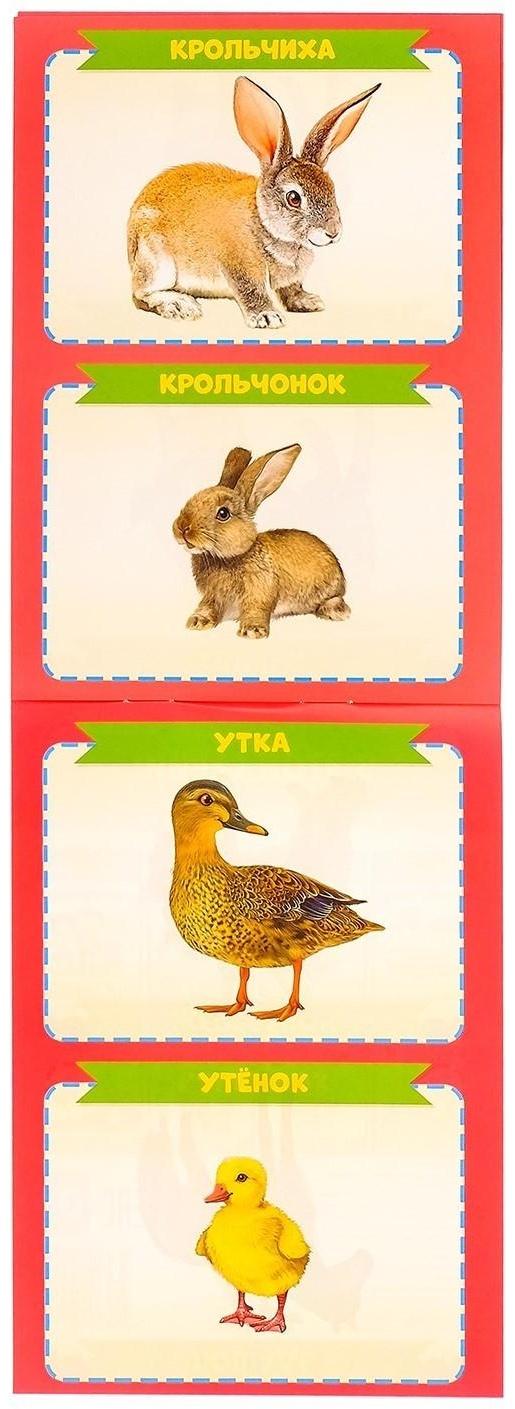 Книги развивающие набор «Растём вместе», 8 шт. по 20 стр.