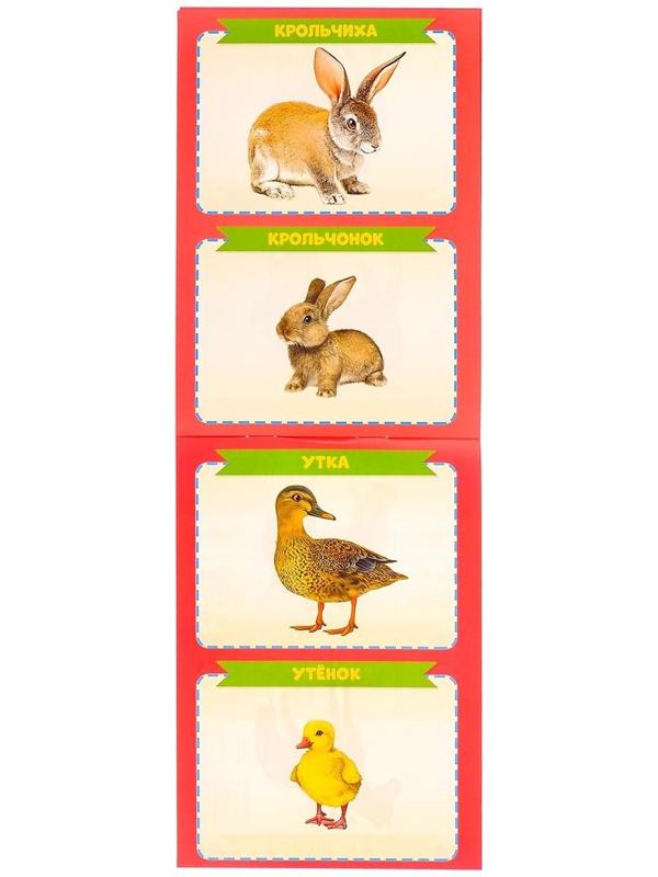 Книги развивающие набор «Растём вместе», 8 шт. по 20 стр.