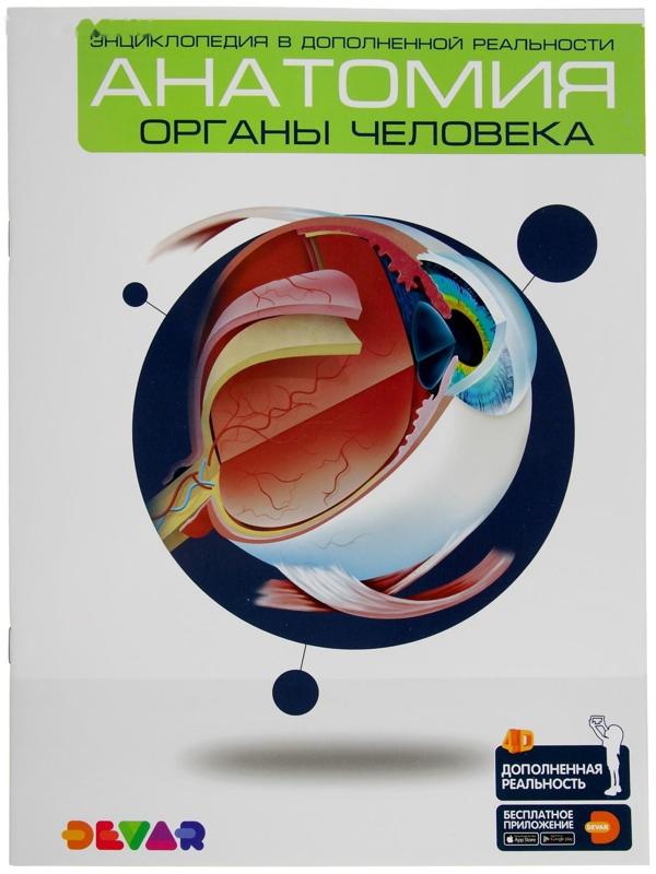 Энциклопедия 4D в дополненной реальности «Анатомия: органы человека»