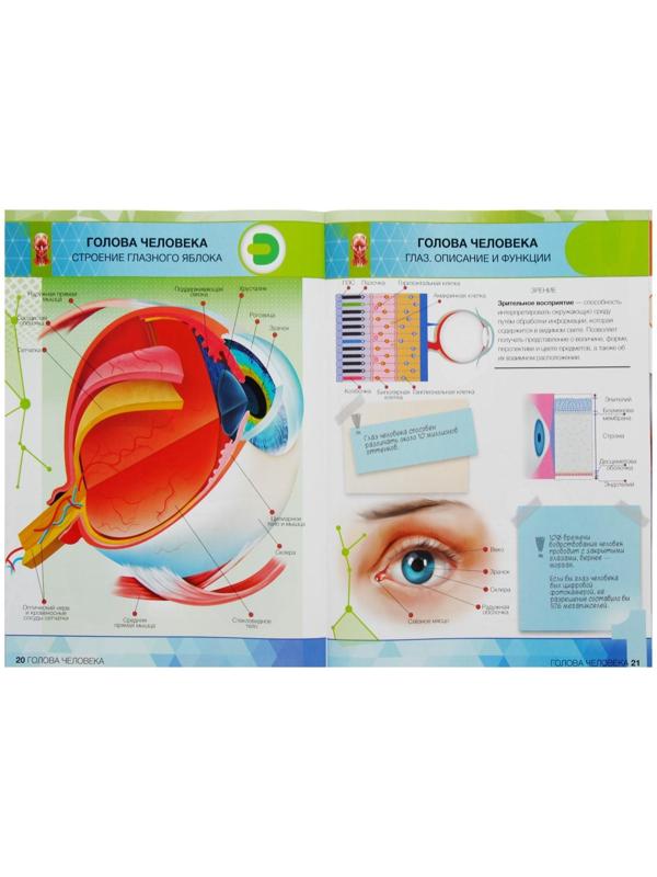 Энциклопедия 4D в дополненной реальности «Анатомия: органы человека»