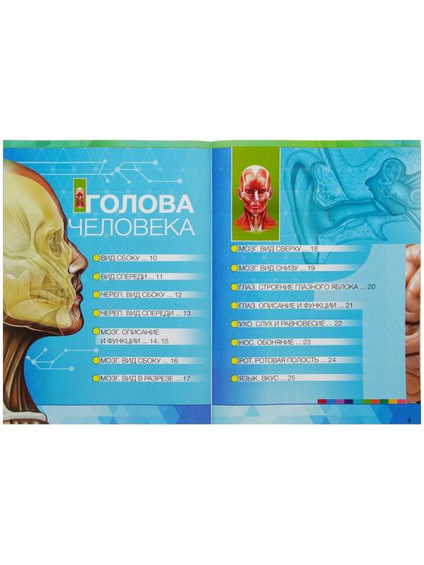 Энциклопедия 4D в дополненной реальности «Анатомия: органы человека»