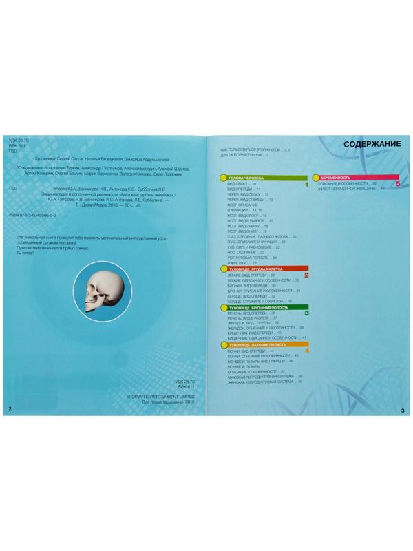 Энциклопедия 4D в дополненной реальности «Анатомия: органы человека»