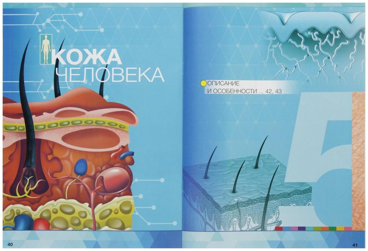 Энциклопедия 4D в дополненной реальности «Анатомия: тело человека»