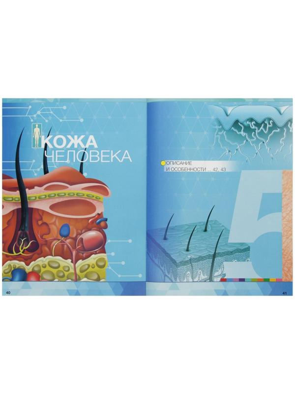 Энциклопедия 4D в дополненной реальности «Анатомия: тело человека»