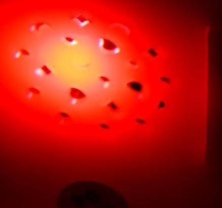 Музыкальный телефончик для самых маленьких «Забавные зверята», с проектором