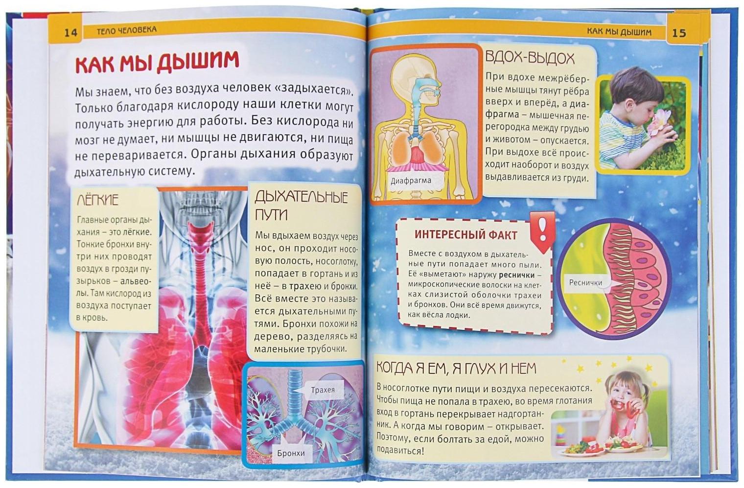 Энциклопедия с развивающими заданиями «Тело человека»