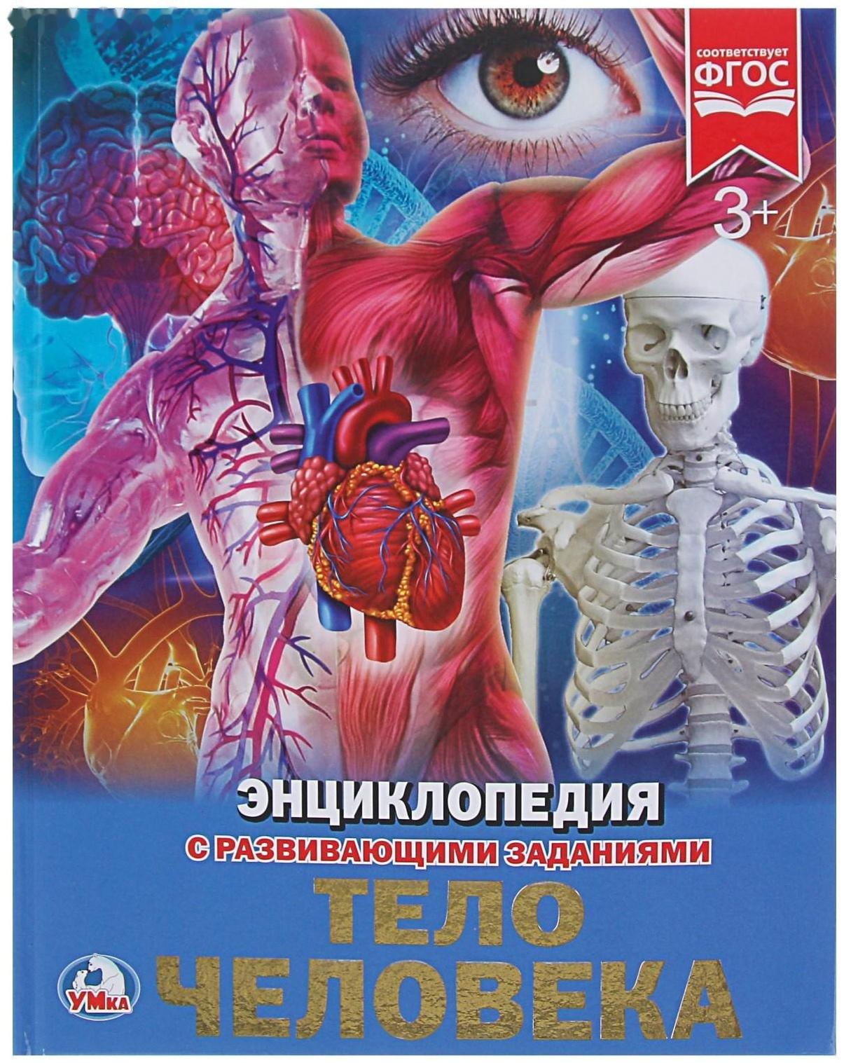 Энциклопедия с развивающими заданиями «Тело человека»