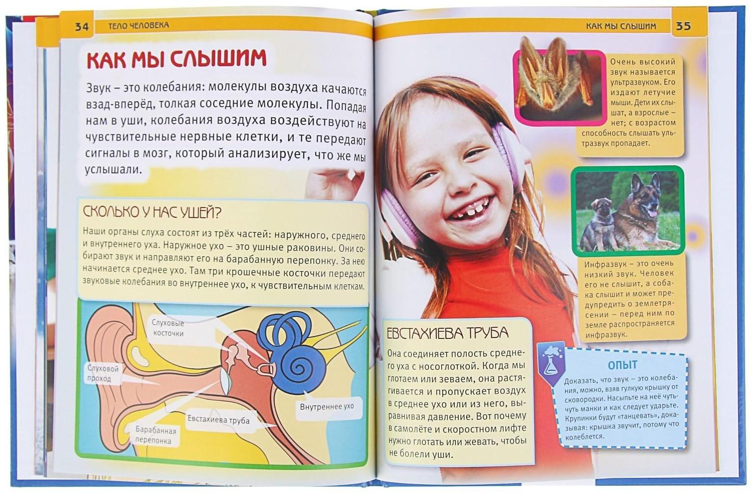 Энциклопедия с развивающими заданиями «Тело человека»