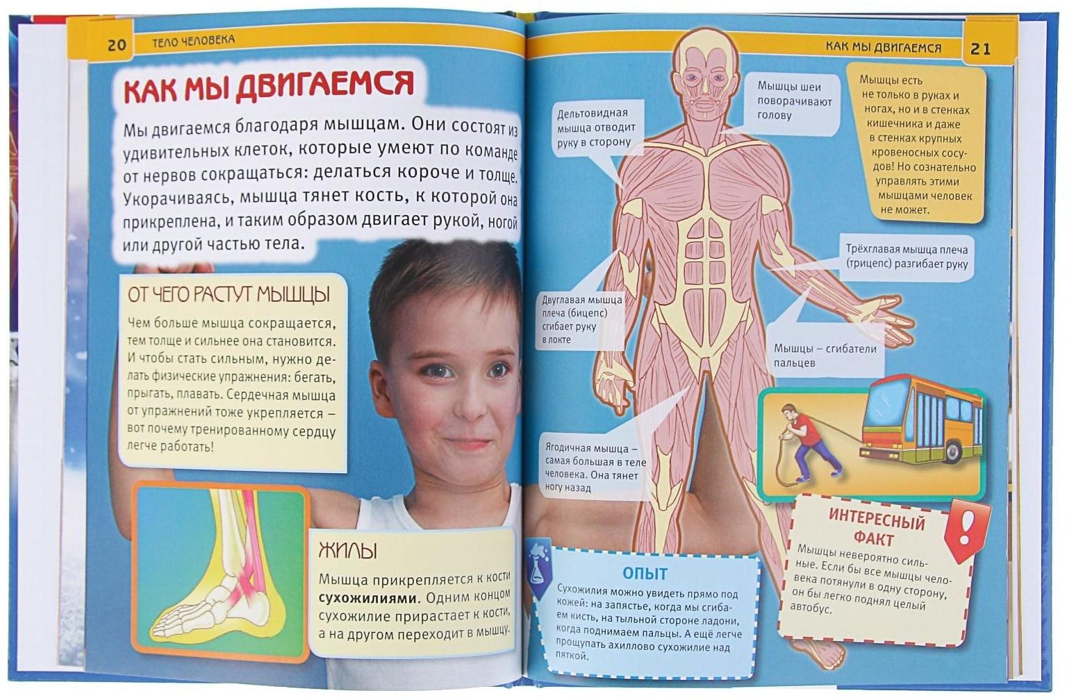 Энциклопедия с развивающими заданиями «Тело человека»