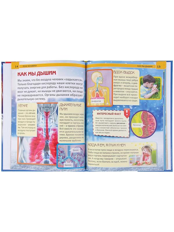 Энциклопедия с развивающими заданиями «Тело человека»