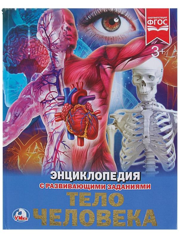 Энциклопедия с развивающими заданиями «Тело человека»