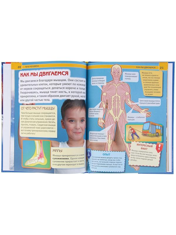Энциклопедия с развивающими заданиями «Тело человека»
