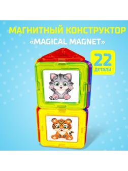 Магнитный конструктор Magical Magnet, 22 детали, детали матовые
