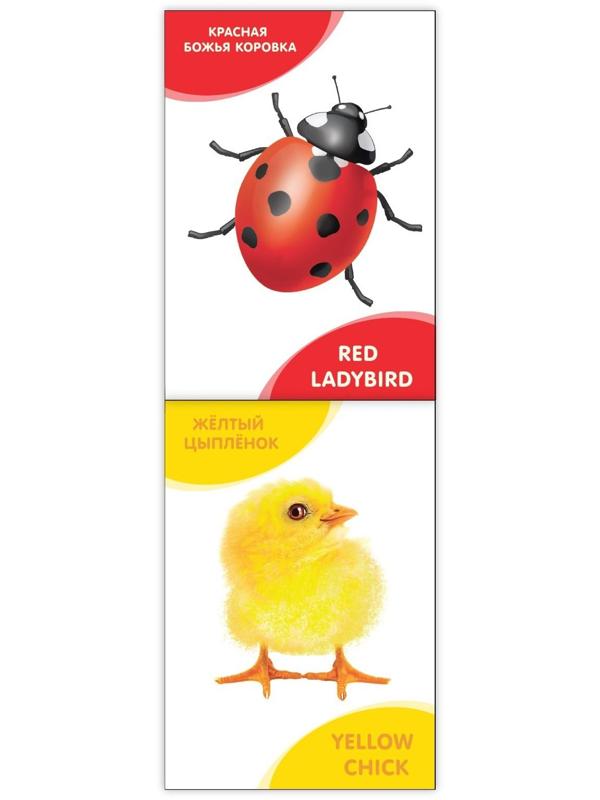 Книги развивающие набор «Растём вместе. Английский язык», 20 стр.