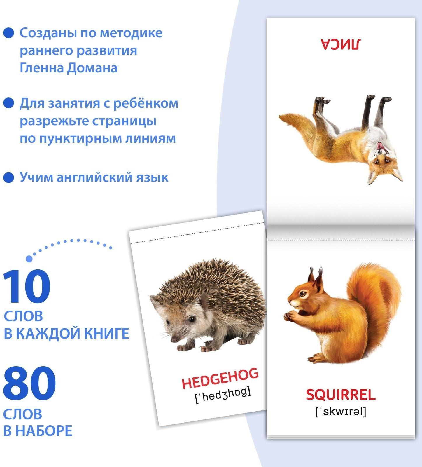 Книги набор «Карточки Домана на английском языке», 8 шт. по 24 стр.